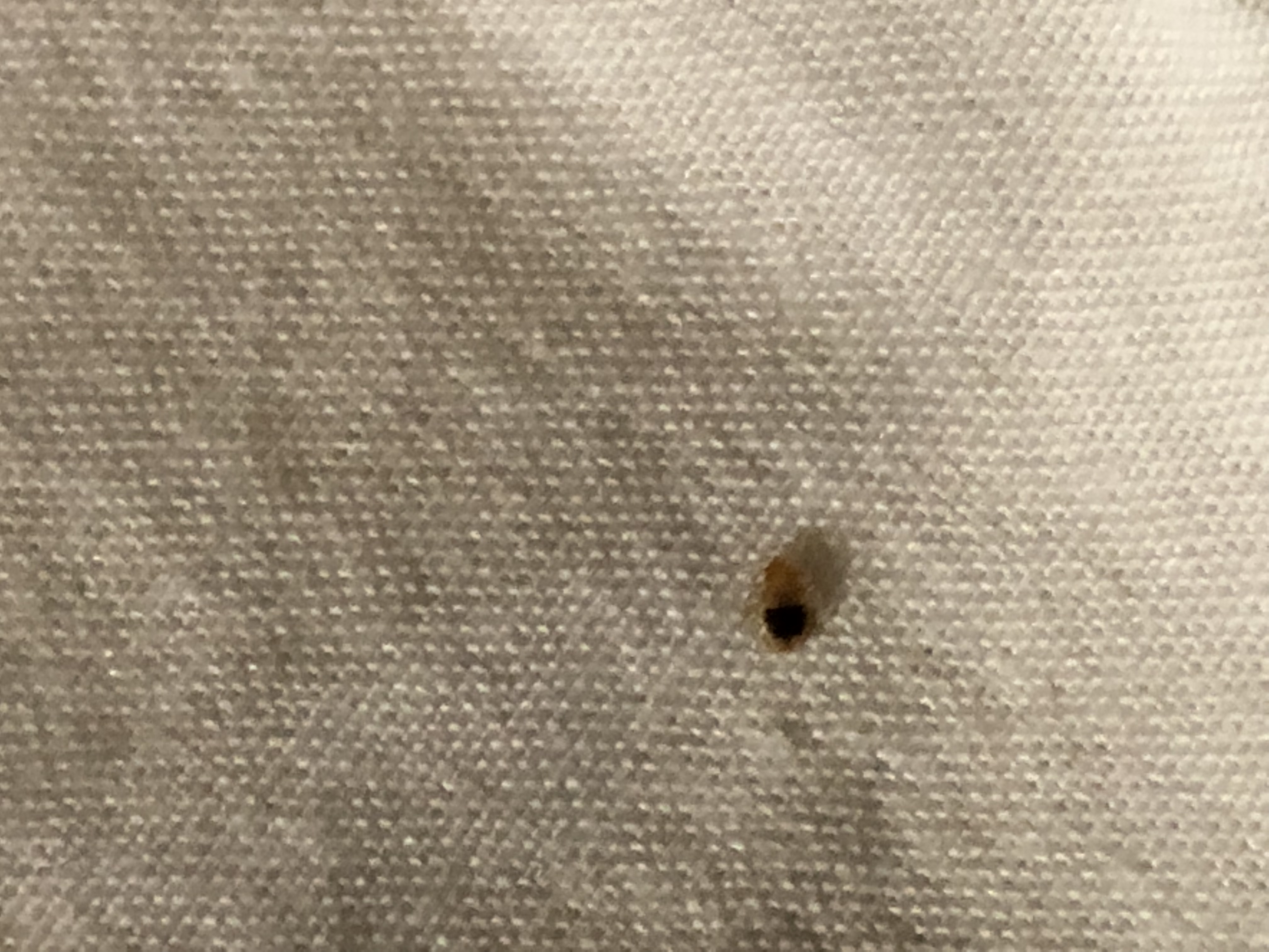 Bethlehem PA Bed bug Hotel and Apartment Reports