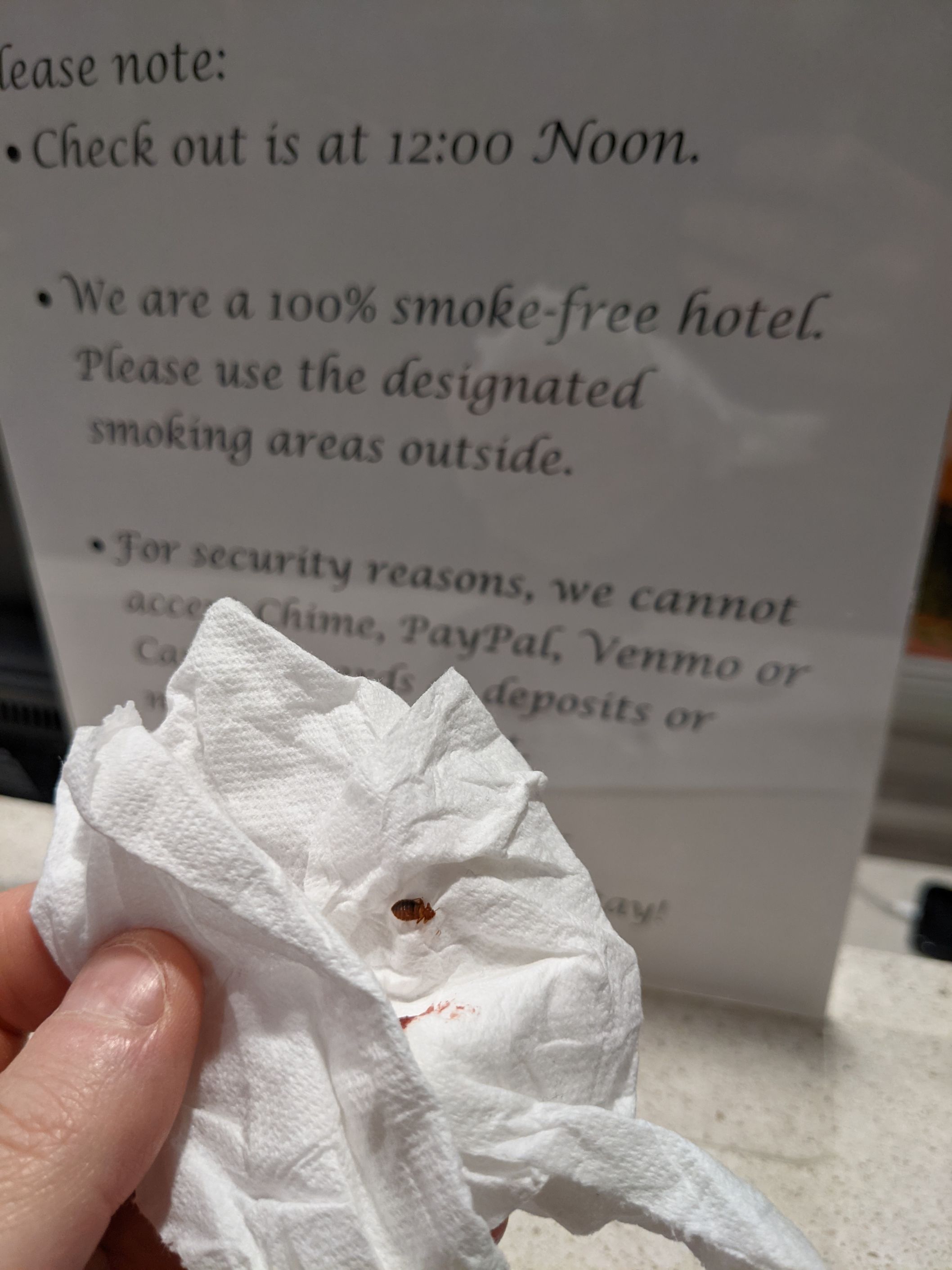 Bed Bug Reports Check Hotels and Apartments Before You Stay