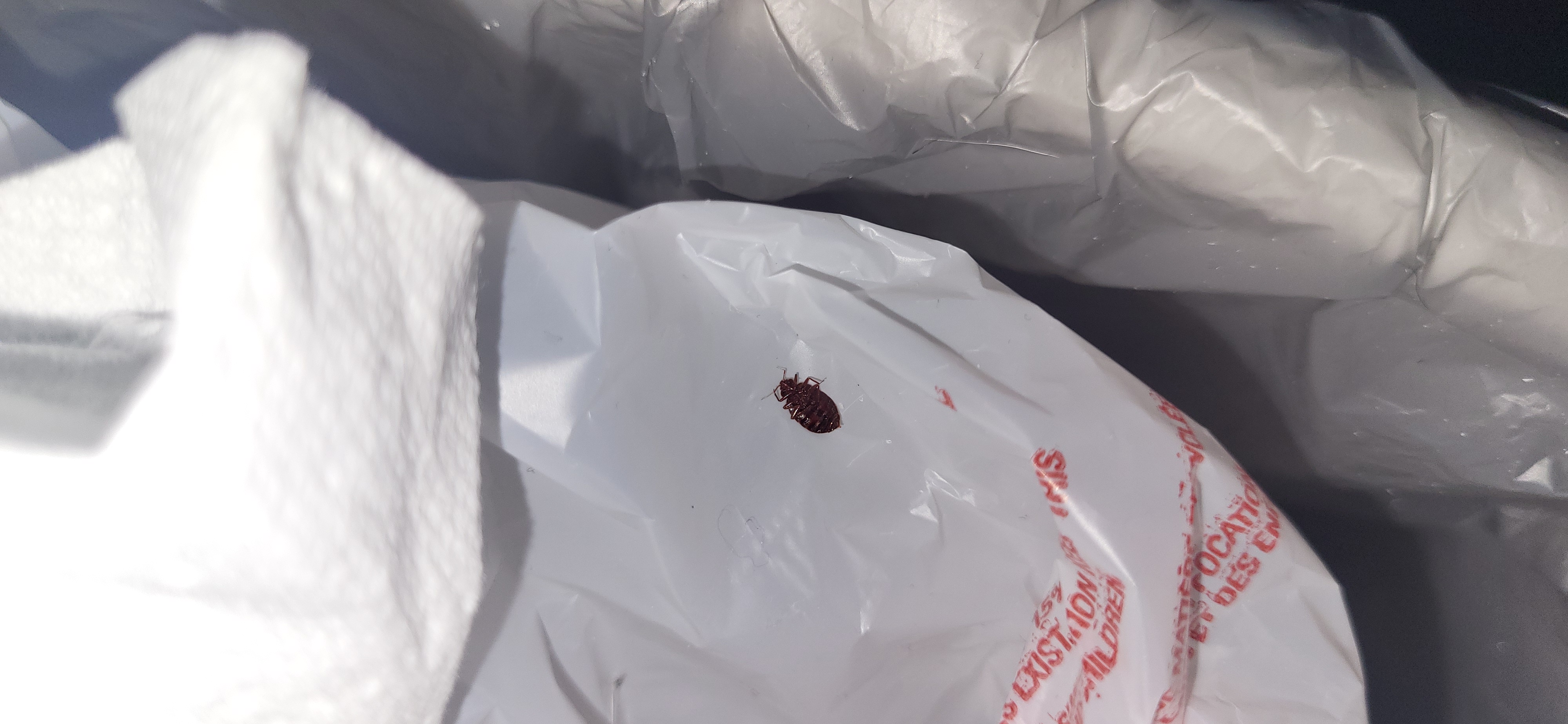 Bed Bug Reports Check Hotels And Apartments Before You Stay   34814 Hyeafjtthz Listing 